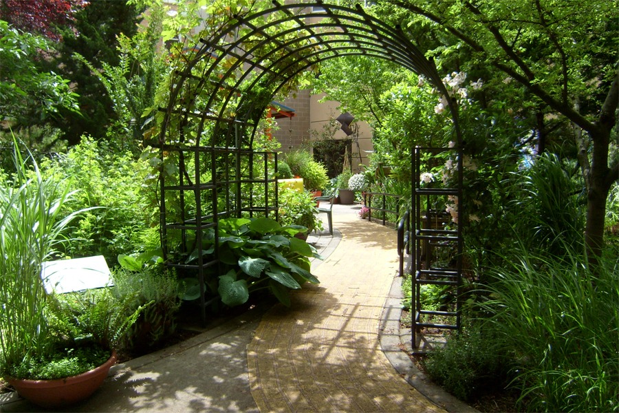 Healing gardens (giardini terapeutici)