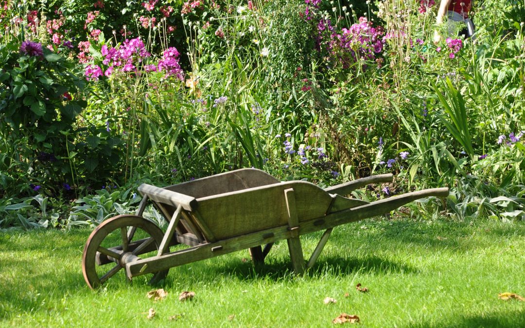 Orto giardino, utile e dilettevole