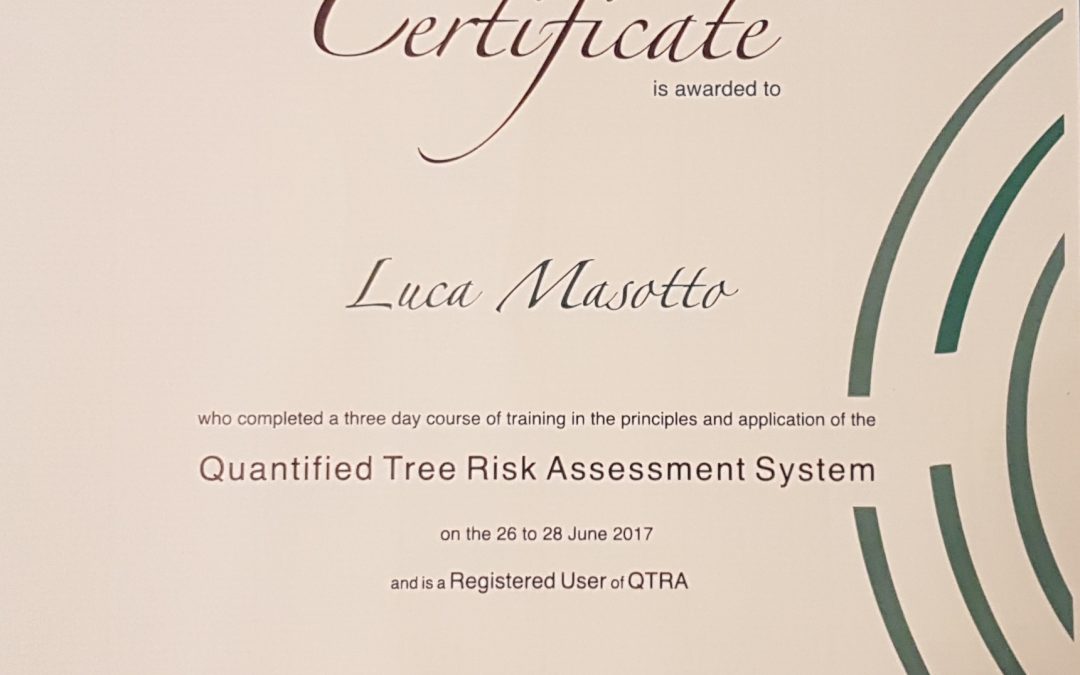 Arboricoltore Milano: dall’analisi di stabilità alla valutazione del rischio